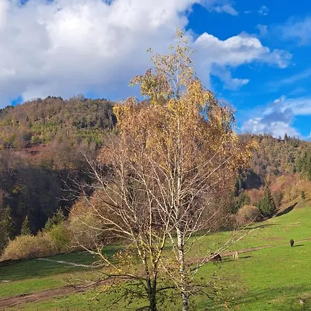Greenriver Vintgar Gorge-bled Daire *