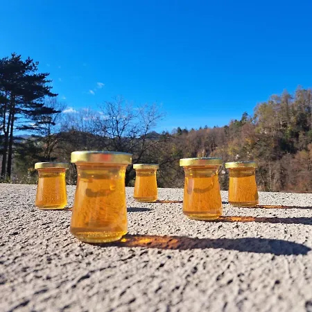 Greenriver Lejlighed Spodnje Gorje