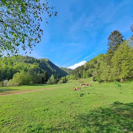 Lejlighed Greenriver Spodnje Gorje