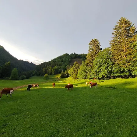 Apartamento Greenriver Spodnje Gorje