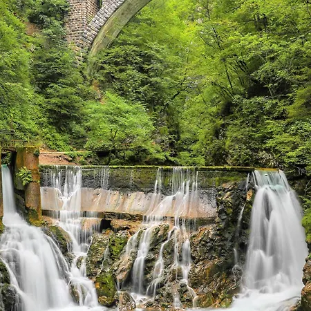 Daire Greenriver Spodnje Gorje