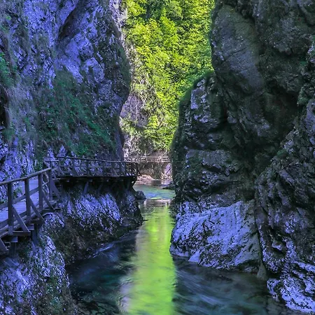 Greenriver Vintgar Gorge-bled Spodnje Gorje