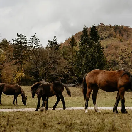 Greenriver Lejlighed *