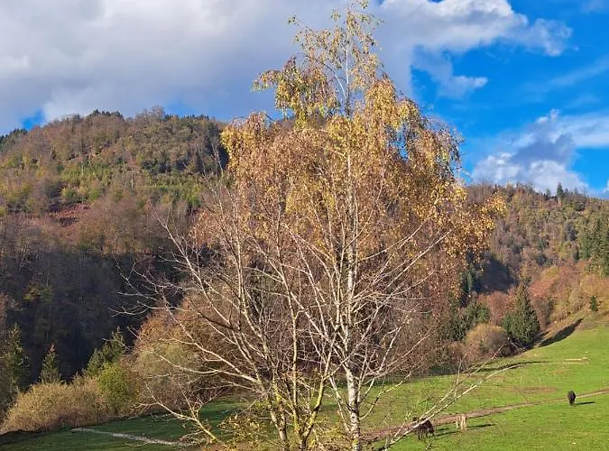 Greenriver Apartment *