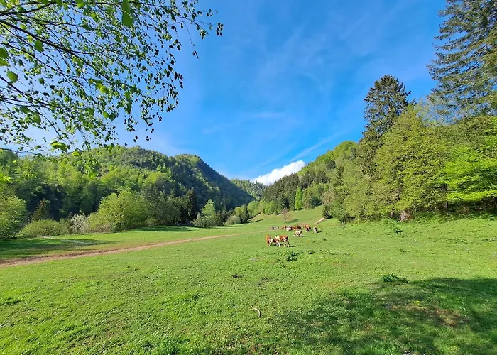 Lägenhet Greenriver Spodnje Gorje