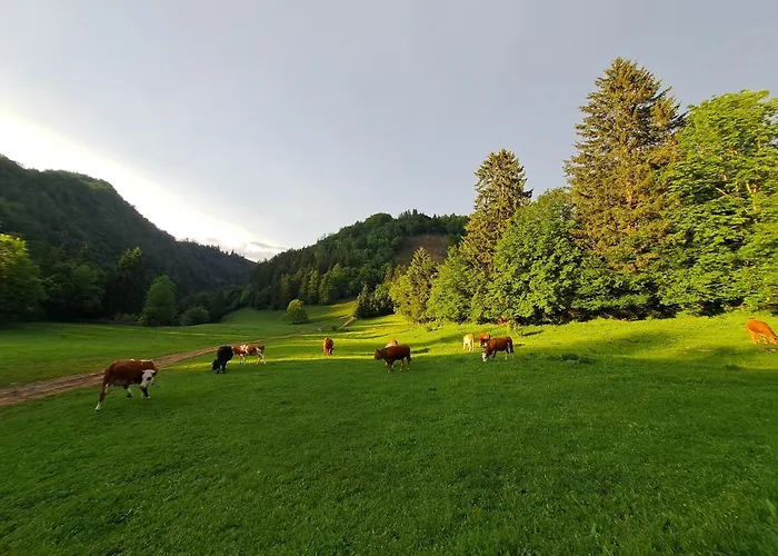 Lägenhet Greenriver Spodnje Gorje