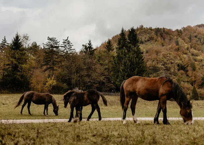 Greenriver Lägenhet *